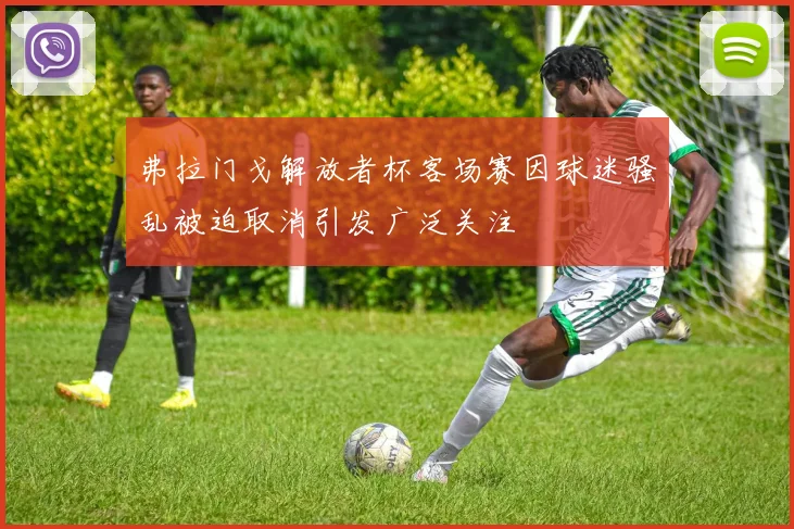 弗拉门戈解放者杯客场赛因球迷骚乱被迫取消引发广泛关注
