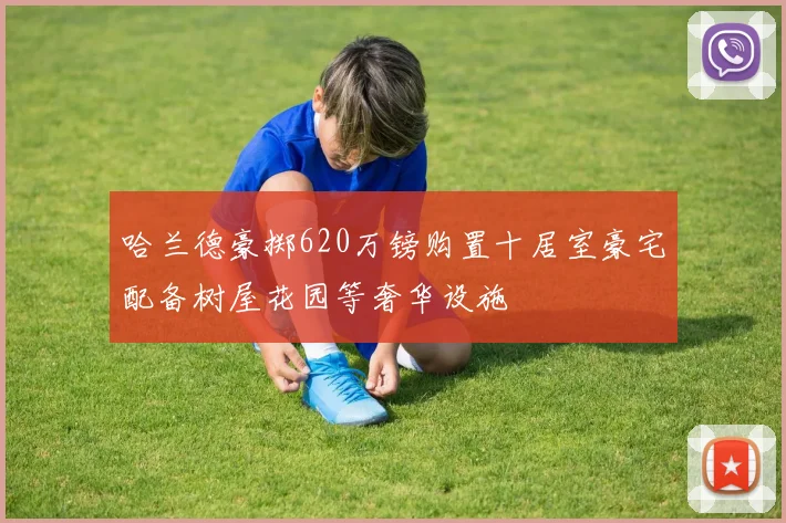 哈兰德豪掷620万镑购置十居室豪宅配备树屋花园等奢华设施